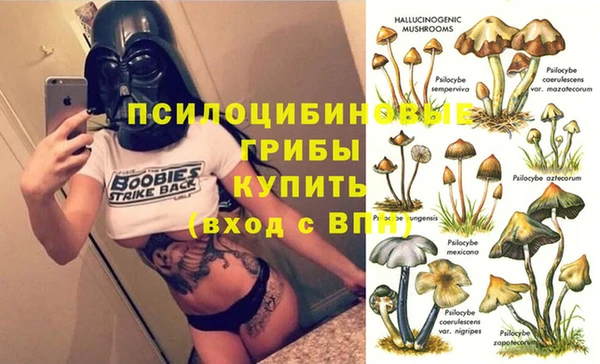 apvp Дмитровск