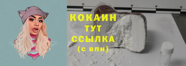 PSILOCYBIN Дмитров