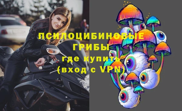 apvp Дмитровск
