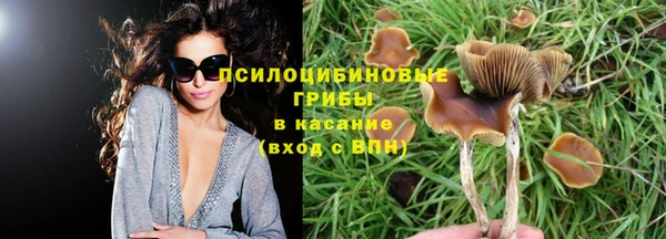 apvp Дмитровск
