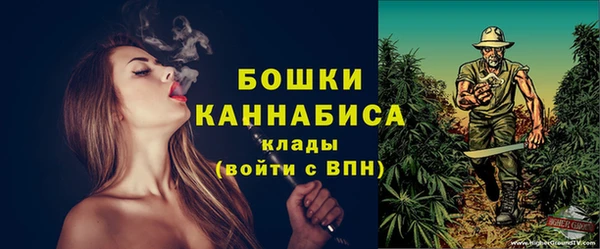 PSILOCYBIN Дмитров