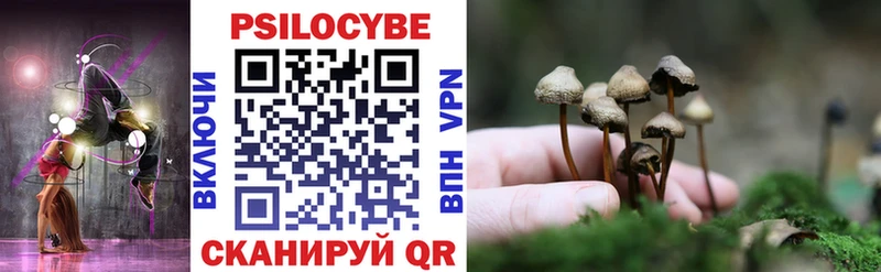 Псилоцибиновые грибы MAGIC MUSHROOMS  Купить  Себеж 